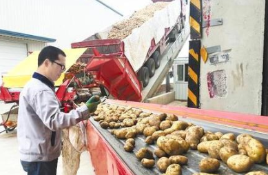 带队领跑 龙头企业成为产业发展新动能