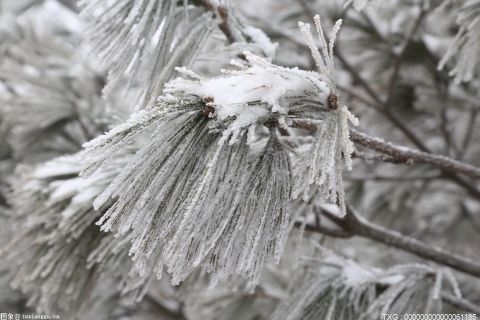 山西多地遭遇暴雪降温天气 从6个方面对煤矿的安全生产工作安排部署