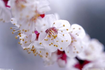 在凛冬重启的中超联赛 还能不能看到春天的希望？