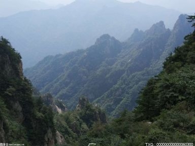 推动四川绿色低碳优势产业发展的两条根本路径是什么？