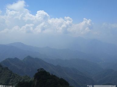 面对辽苏沪 天津女排主帅期待外援巴尔加斯发挥更大的作用