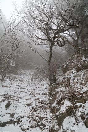 乘风冬奥 北京冰雪运动及旅游产业发展也驶入了快车道