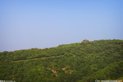 五年内温州将培育起一批文旅消费新场景