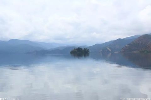 江苏元旦贡献票房超1.08亿元 居全国第二占比11%