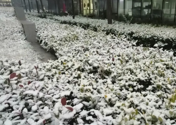 马鞍山预计春节假期有次小雪天气过程 最低气温降至-3℃～-5℃