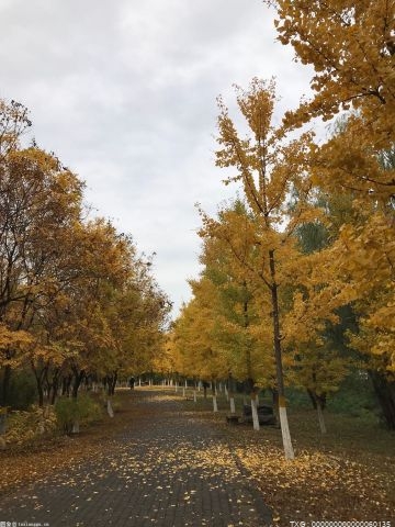 洞头中屿景区设置优惠吸引外地游客到洞头旅游