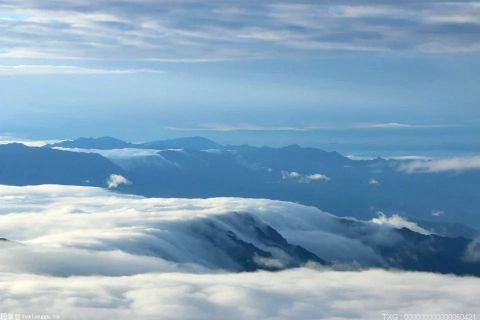 数字化推动自贸区建设 舟山构建江海联运一站式全场景服务