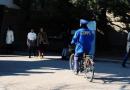 韵达、圆通和申通发布3月快递经营简报 韵达快递业务处于领先
