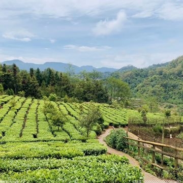 预制菜在温州市场走俏 为推动农产品食品化打开了全新的空间