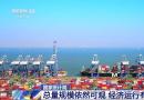 体量可观韧性强 中国主要生产需求指标总量规模依然可控