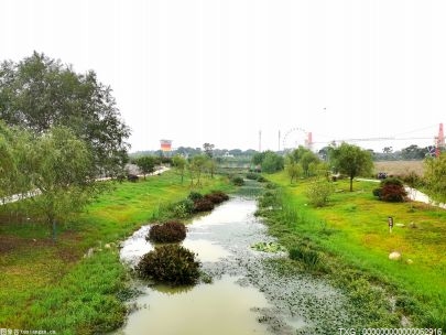 一个月立行立改 湘阴县生态环境质量成功逆袭